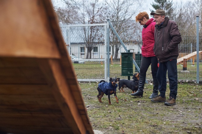 Kutyafuttató a Kert közben - fotó Szarka Lajos