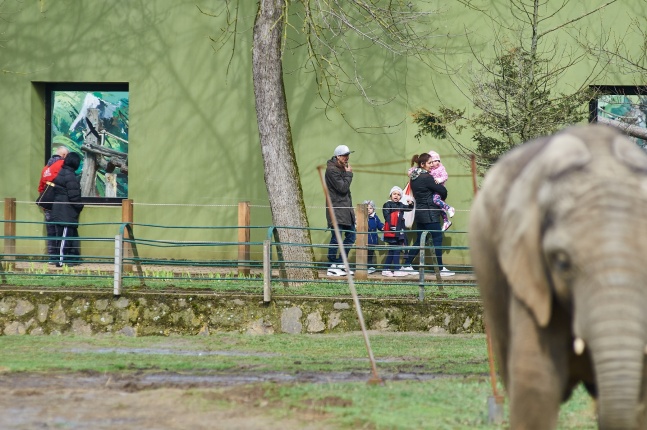 Húsvétkor az Állatparkban - fotó Szarka Lajos