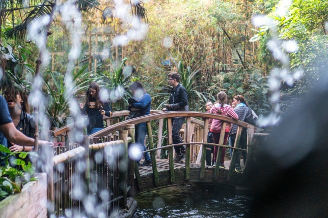 Hosszú hétvégén irány az Állatpark! - fotó Kohut Árpád