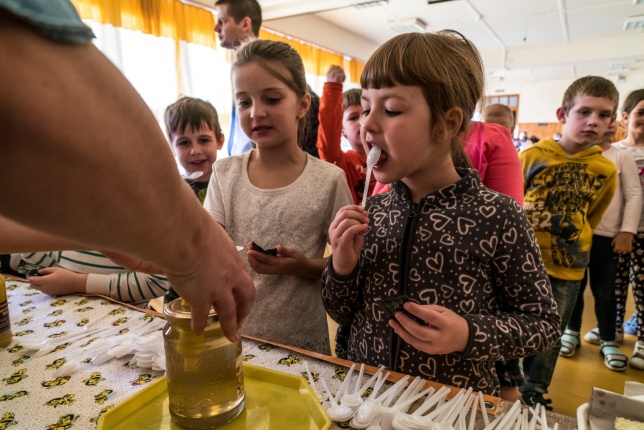 Mézes reggeli a Kertvárosi Iskolában - fotó Kohut Árpád