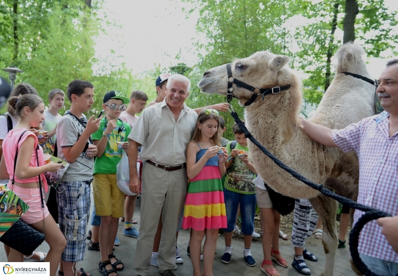 Ukrán gyerekek az Állatparkban