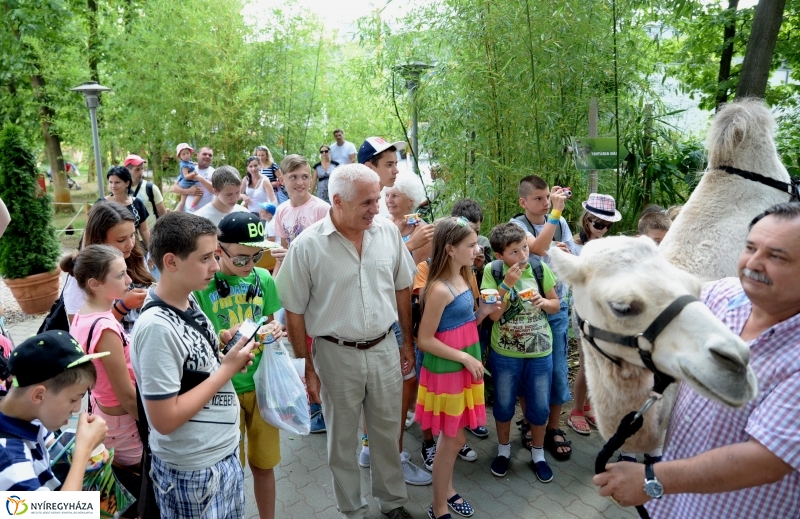 Ukrán gyerekek az Állatparkban