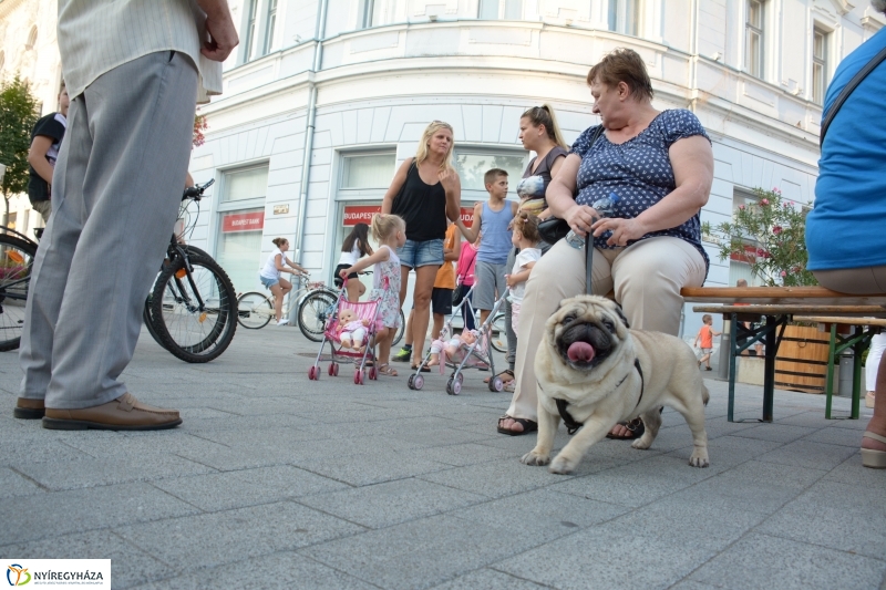 Elkezdődött a VIDOR Fesztivál 