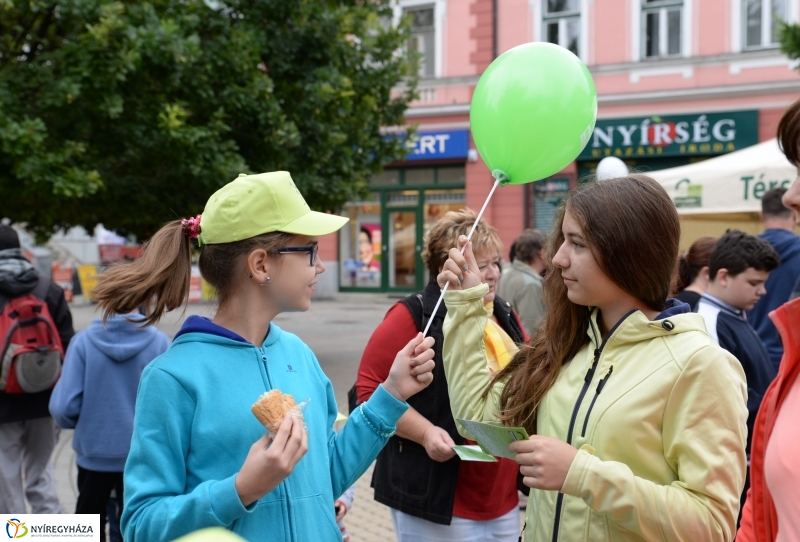 Szelektív Szombat a Kossuth téren 1