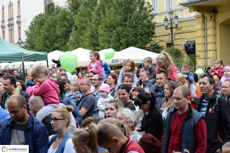 Szelektív Szombat a Kossuth téren 2