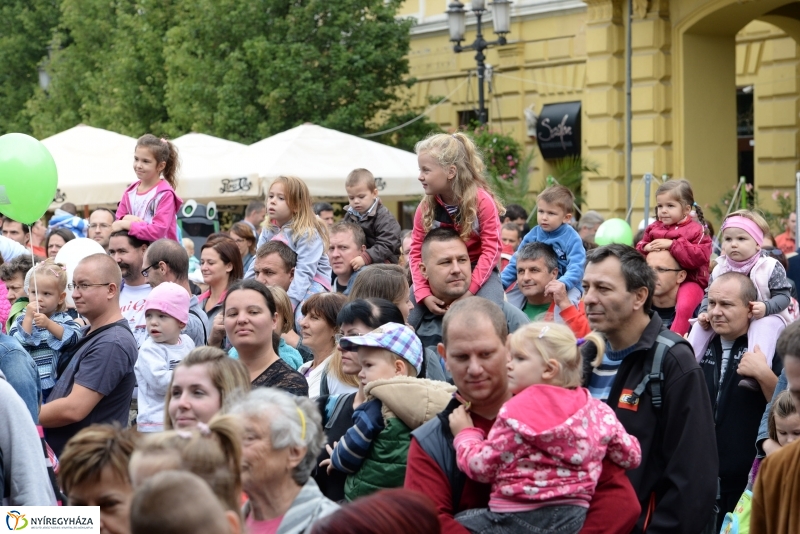 Szelektív Szombat a Kossuth téren 2