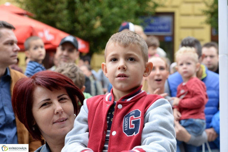 Szelektív Szombat a Kossuth téren 2