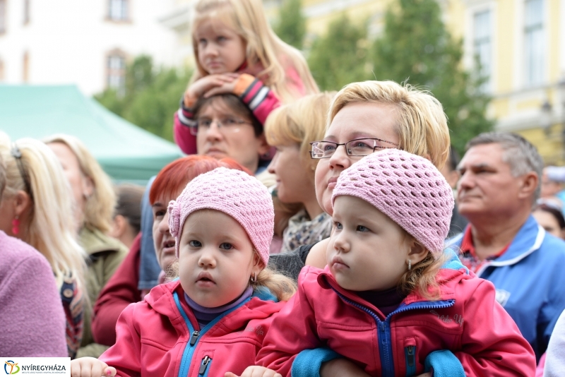 Szelektív Szombat a Kossuth téren 2