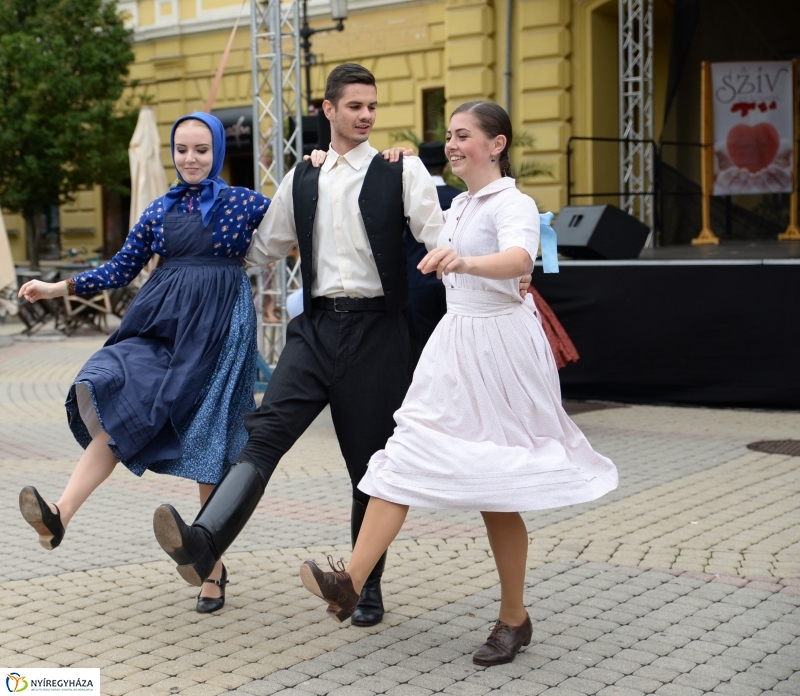 Szív Világnapja a Kossuth téren