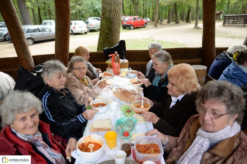 Nyugdíjas találkozó az Erdei Tornapályán