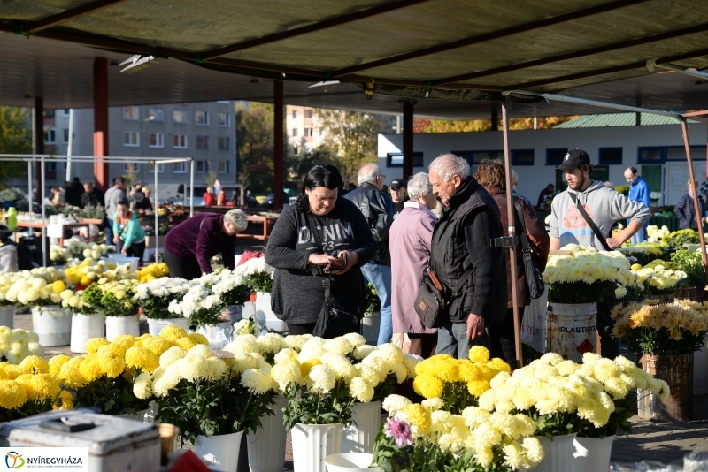 Napsütés és virágözön a piacon