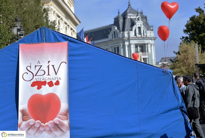 Szív Világnapja a Kossuth téren