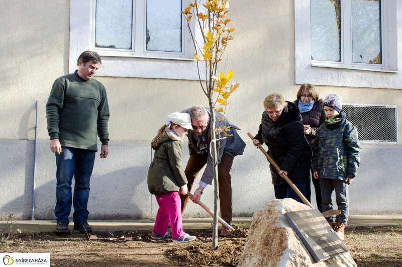 Emlékfa ültetés az Apáczai iskolában - fotó Szarka Lajos
