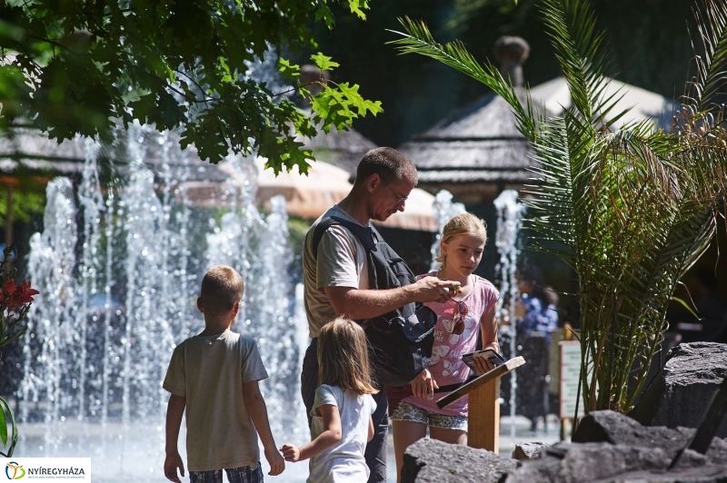 Teltházas Állatpark - fotó Szarka Lajos