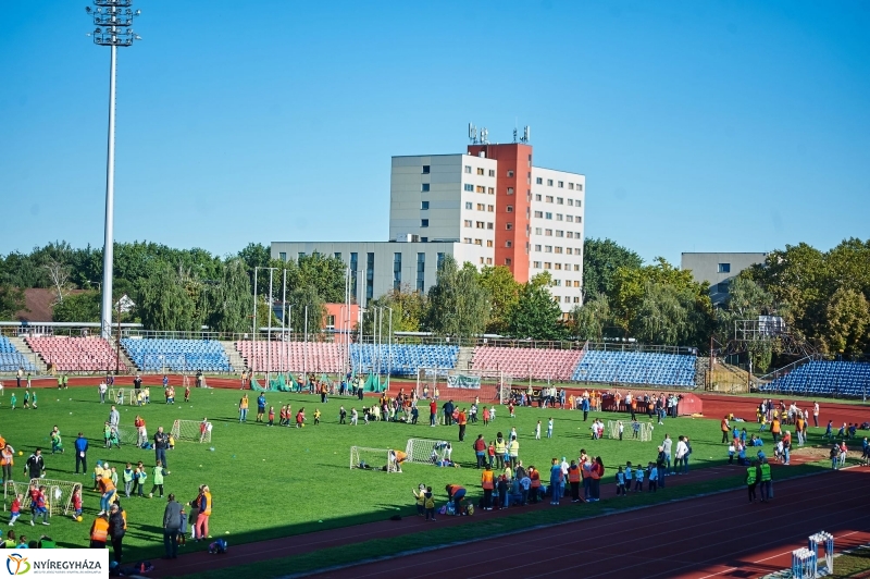 Ovifoci a stadionban - fotó Szarka Lajos