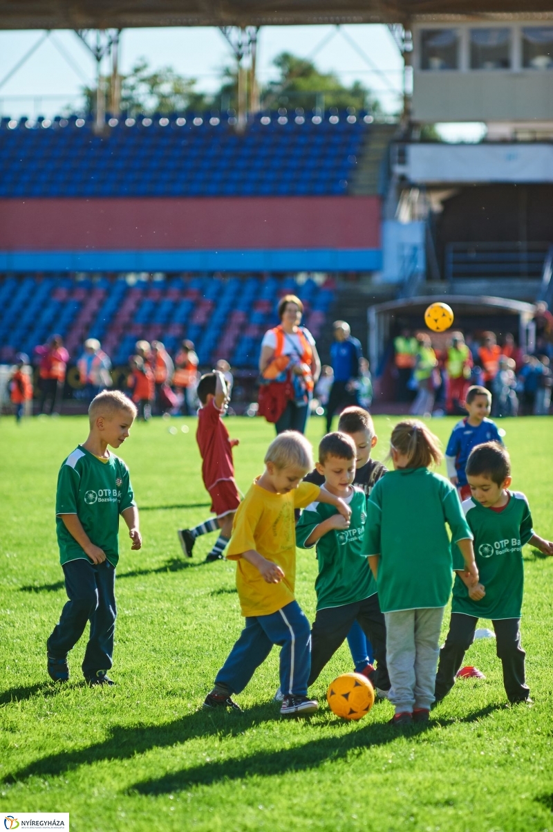 Ovifoci a stadionban - fotó Szarka Lajos