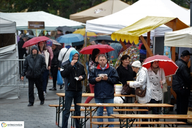 Az eső nem zavarta a Tirpák Fesztiválra kilátogatókat-fotó Trifonov Éva