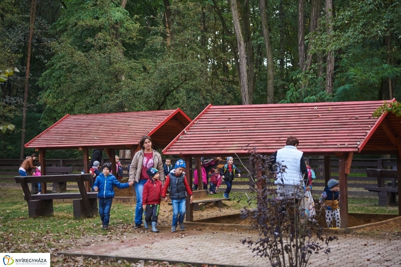 Felújított játszótér az erdőben - fotó Szarka Lajos