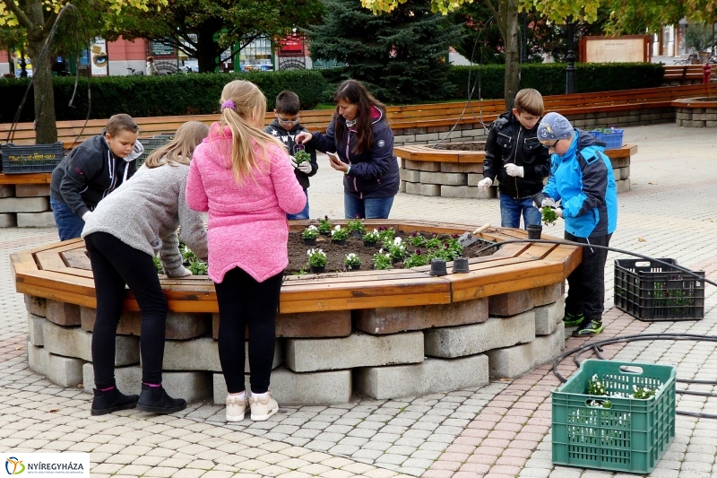 Virágültetés a belvárosban Petőfis diákokkal - fotó Szarka Lajos