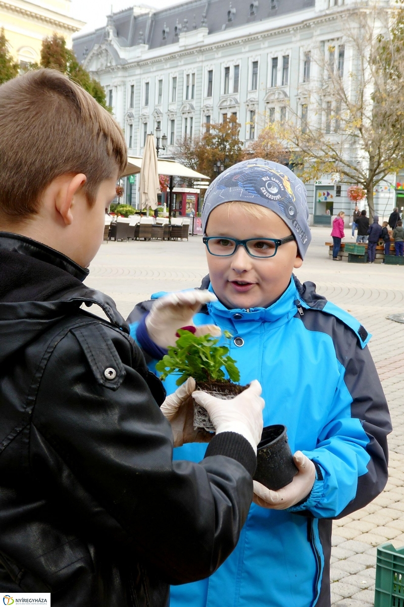 Virágültetés a belvárosban Petőfis diákokkal - fotó Szarka Lajos