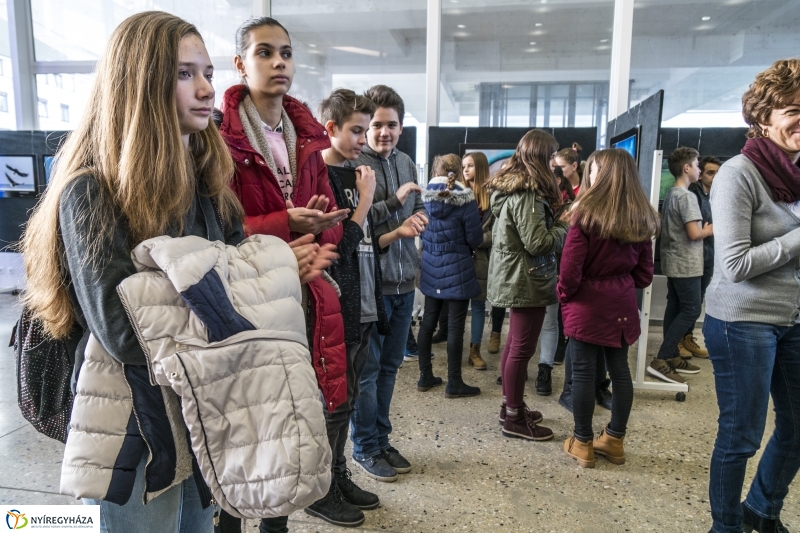 Nyíregyházán Az Év Természetfotósa kiállítás - Fotó: Kohut Árpád