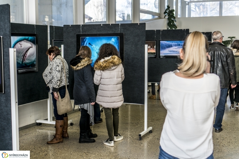 Nyíregyházán Az Év Természetfotósa kiállítás - Fotó: Kohut Árpád