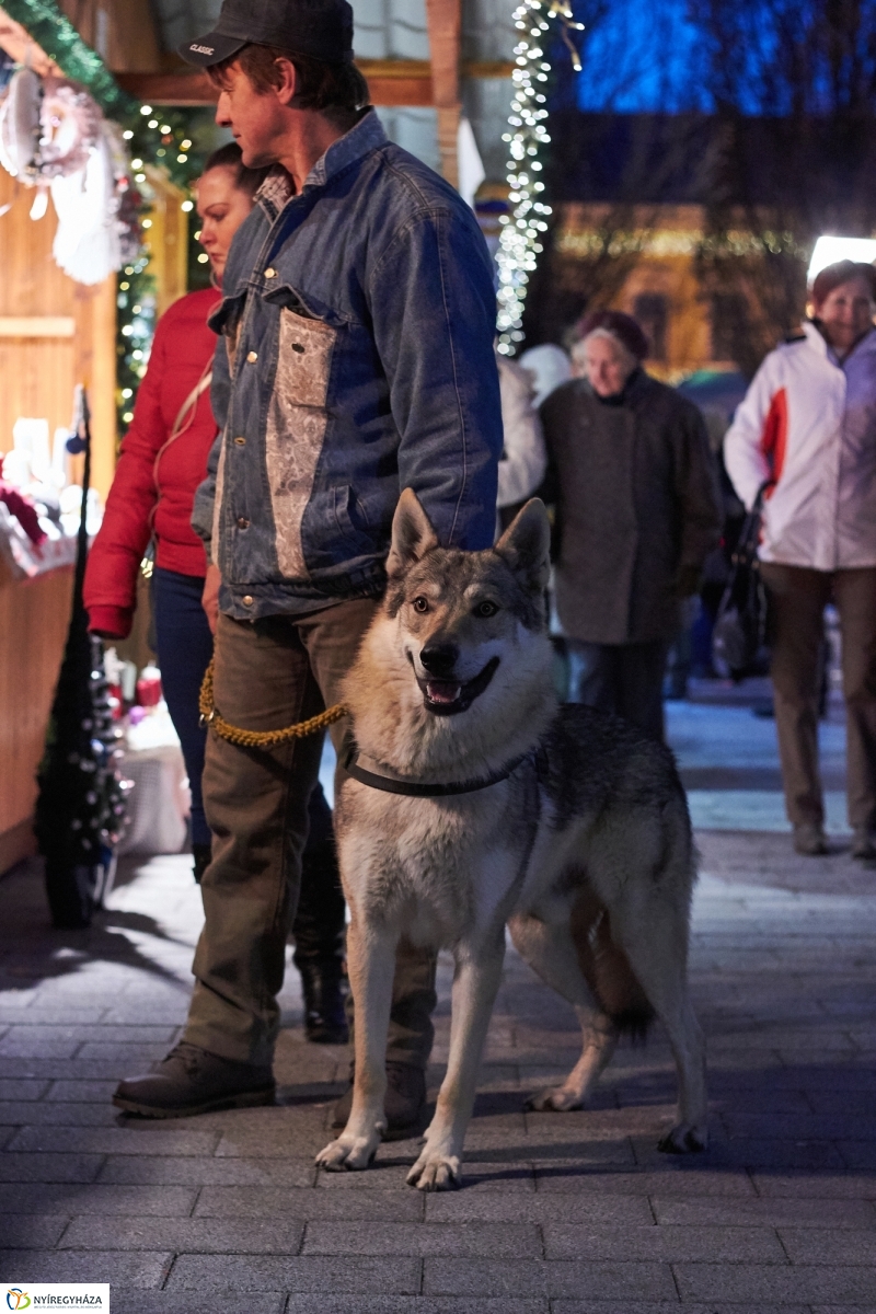 Advent remény gyertyája - fotó Szarka Lajos