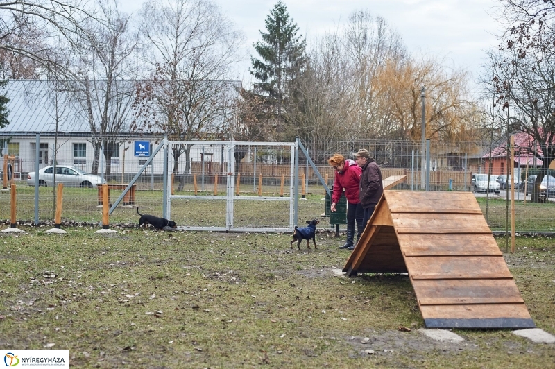 Kutyafuttató a Kert közben - fotó Szarka Lajos