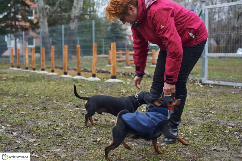 Kutyafuttató a Kert közben - fotó Szarka Lajos