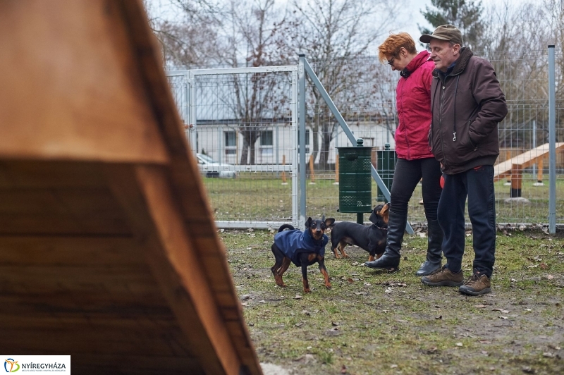 Kutyafuttató a Kert közben - fotó Szarka Lajos