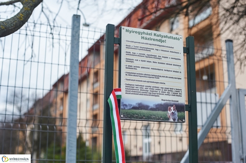 Kutyafuttató a Kert közben - fotó Szarka Lajos