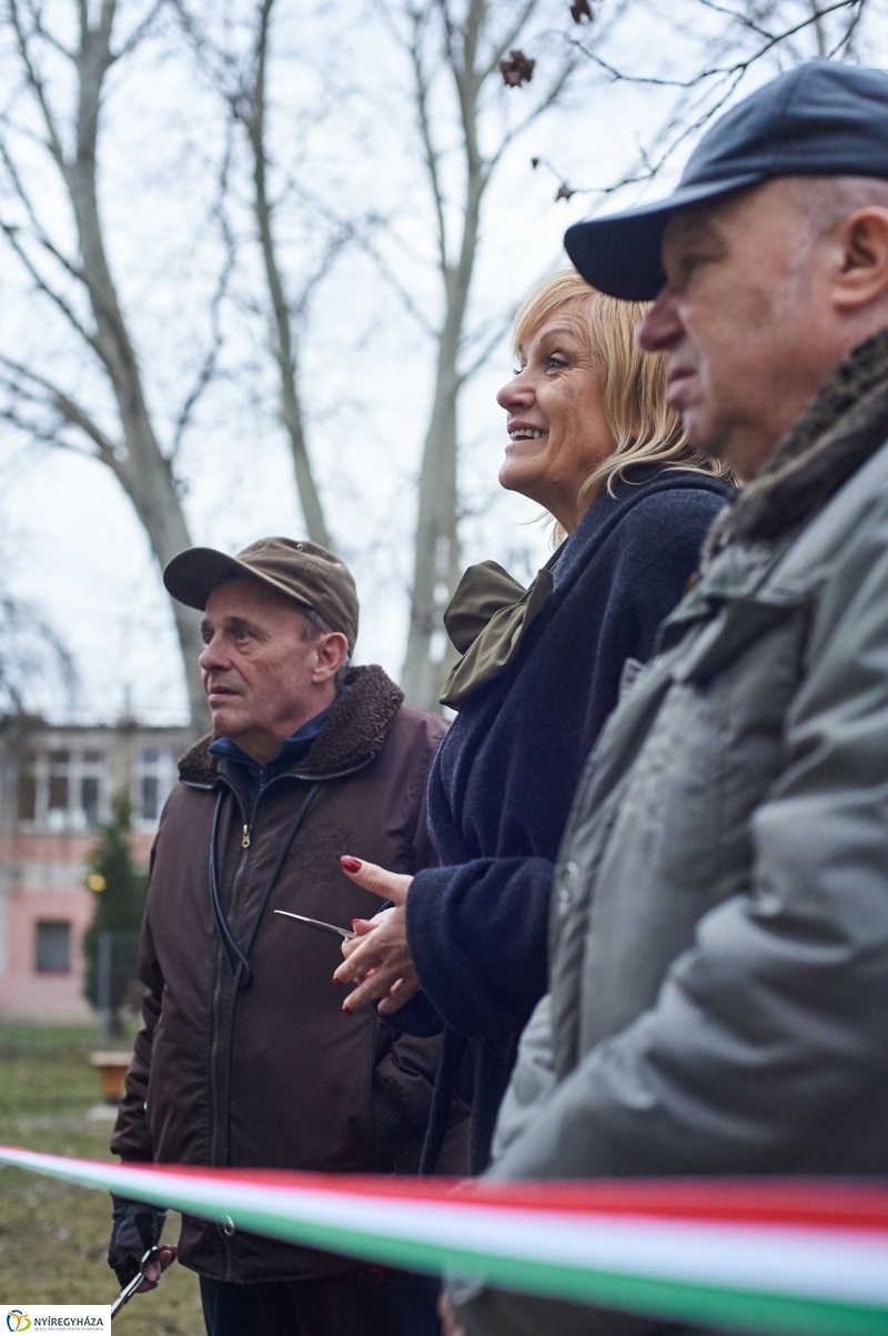 Kutyafuttató a Kert közben - fotó Szarka Lajos