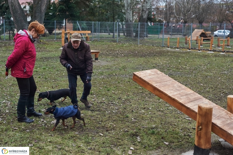 Kutyafuttató a Kert közben - fotó Szarka Lajos