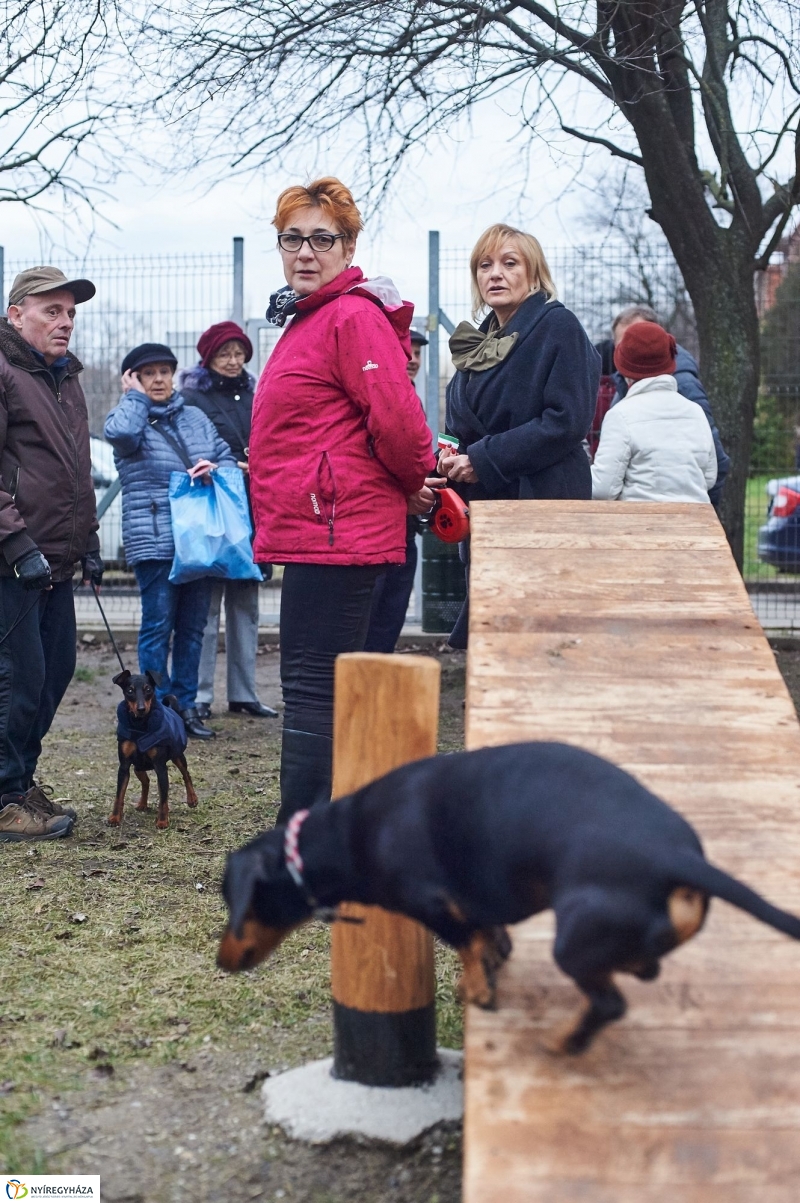 Kutyafuttató a Kert közben - fotó Szarka Lajos