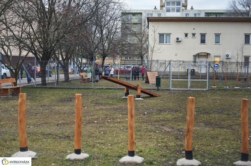 Kutyafuttató a Kert közben - fotó Szarka Lajos