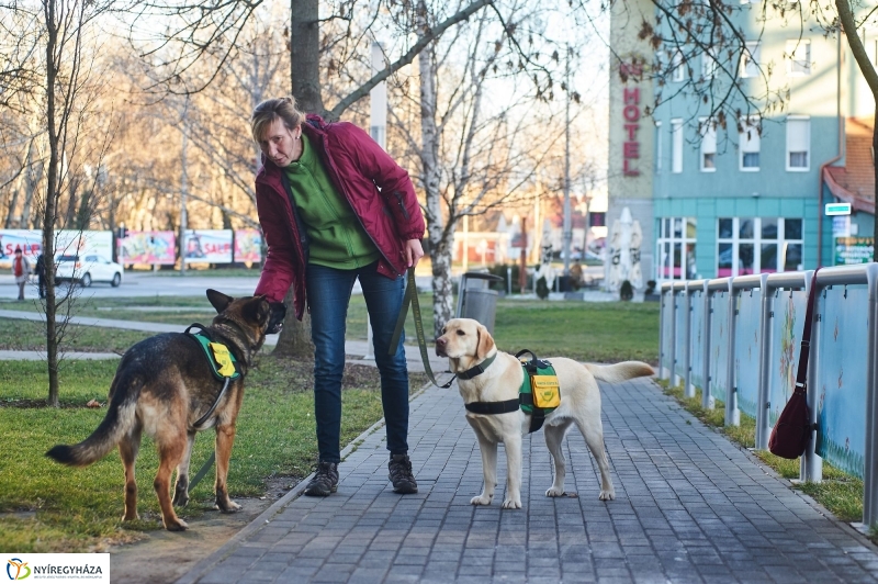 Segítő kutyák - fotó Szarka Lajos