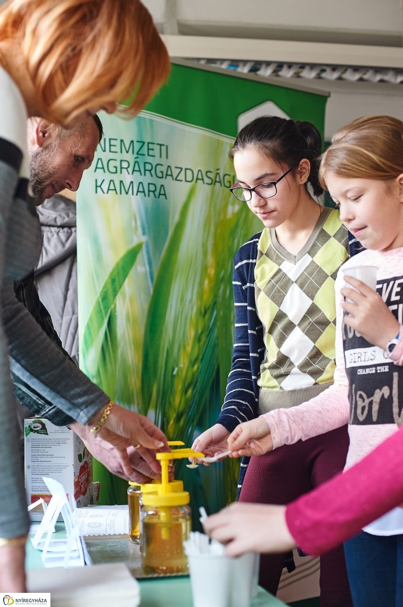 Agrár óra a Bem iskolában - fotó Szarka Lajos