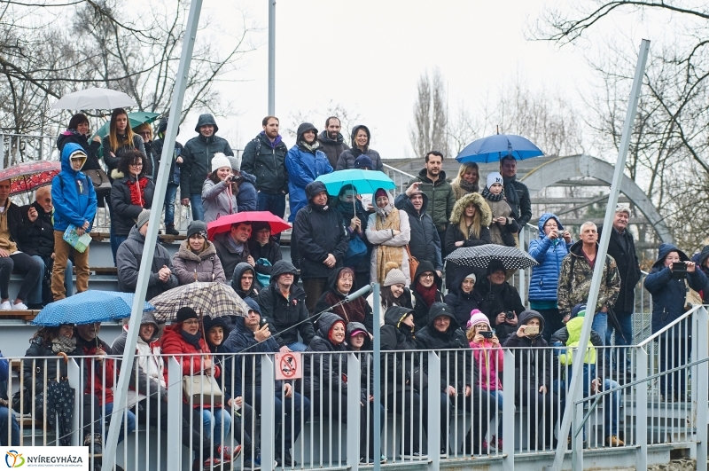 Fókashow az Állatparkban - fotó Szarka Lajos