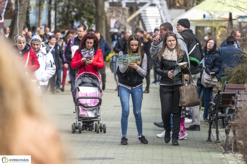 Húsvét a Nyíregyházi Állatparkban - fotó Kohut Árpád