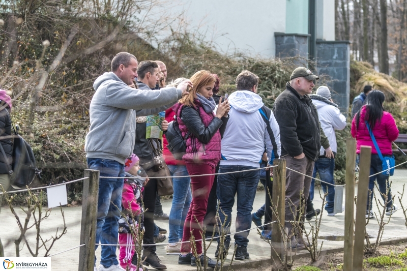 Húsvét a Nyíregyházi Állatparkban - fotó Kohut Árpád