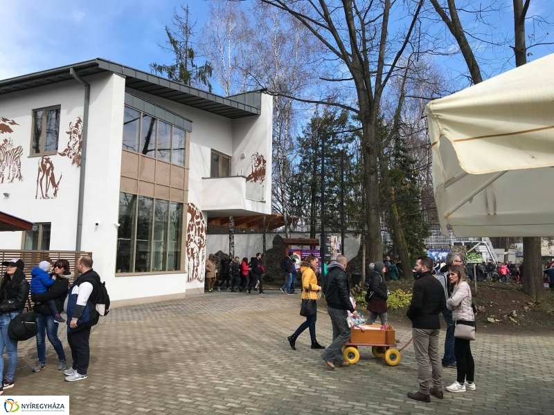 Húsvét a Nyíregyházi Állatparkban - fotó Kohut Árpád