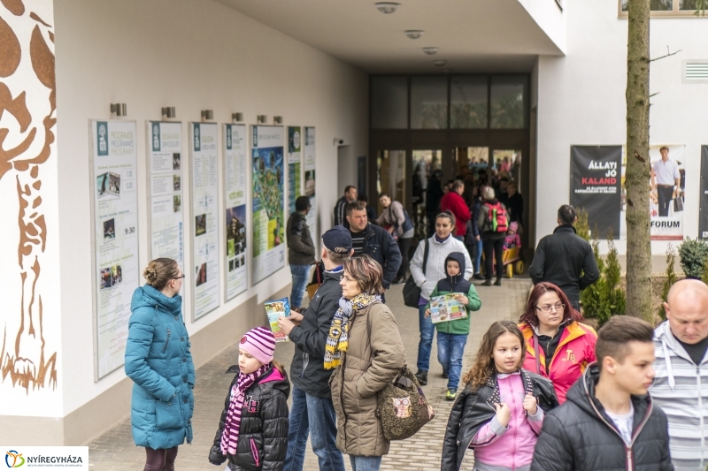 Húsvét a Nyíregyházi Állatparkban - fotó Kohut Árpád