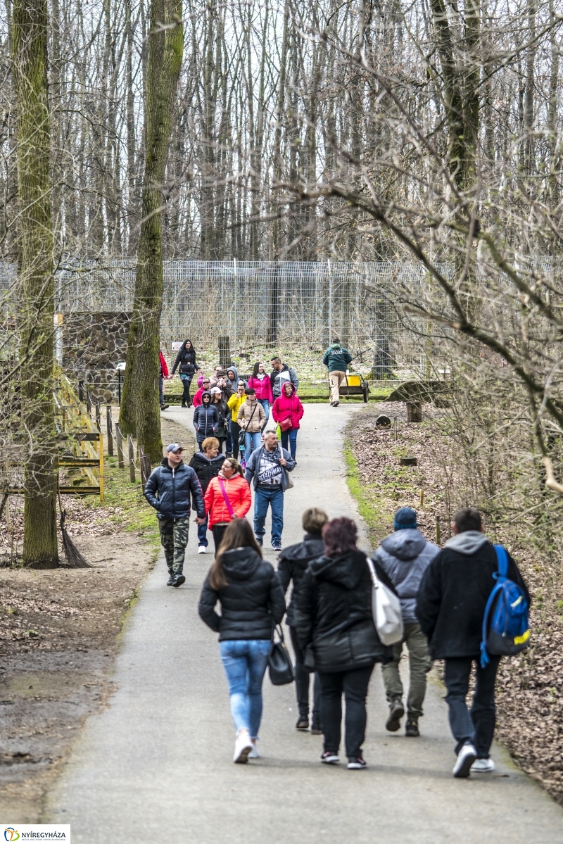 Húsvét a Nyíregyházi Állatparkban - fotó Kohut Árpád