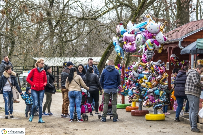 Húsvét a Nyíregyházi Állatparkban - fotó Kohut Árpád