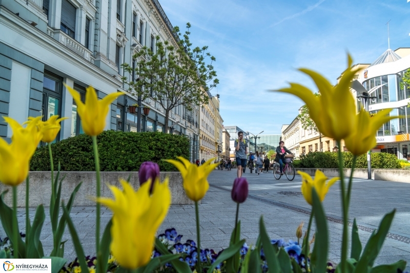 Ifjúsági Hét a Kossuth téren - fotó Kohut Árpád