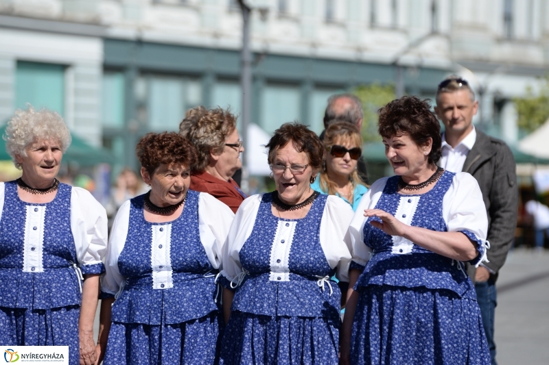 Helló Nyíregyháza délelőtt 1  - fotó Trifonov Éva