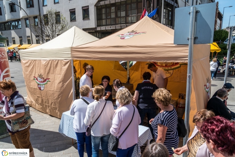 Hangulatképek a Helló Nyíregyháza utcáin - fotó Kohut Árpád