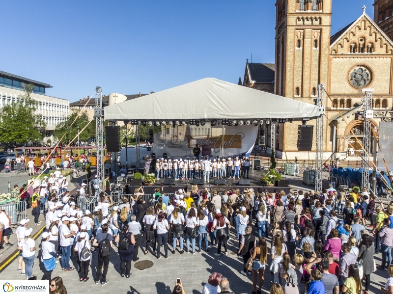 Hang-Szín Kulturális Egyesület és az Y2K Tánccsoport közös flashmobja 