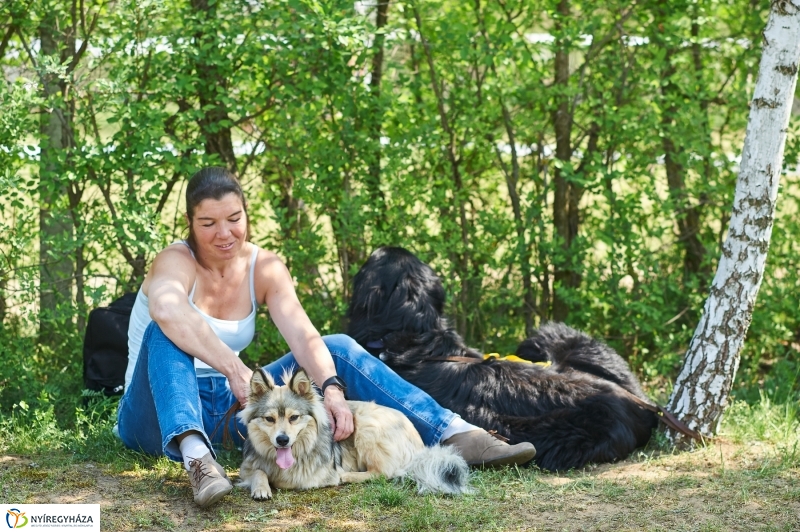 Kutyakiállítás Oroson - fotó Szarka Lajos