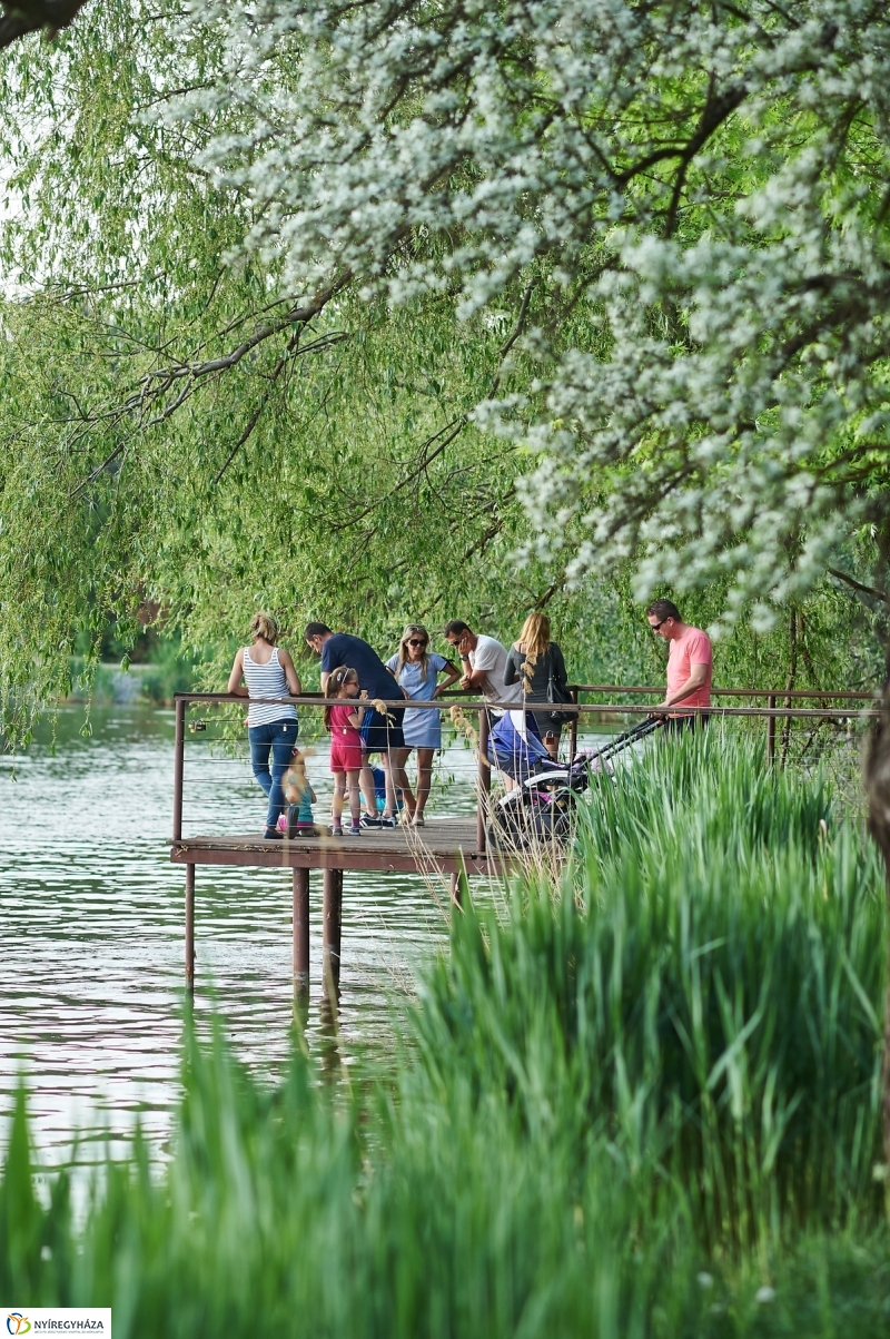 Sóstói körkép tavaszi estén - fotó Szarka Lajos